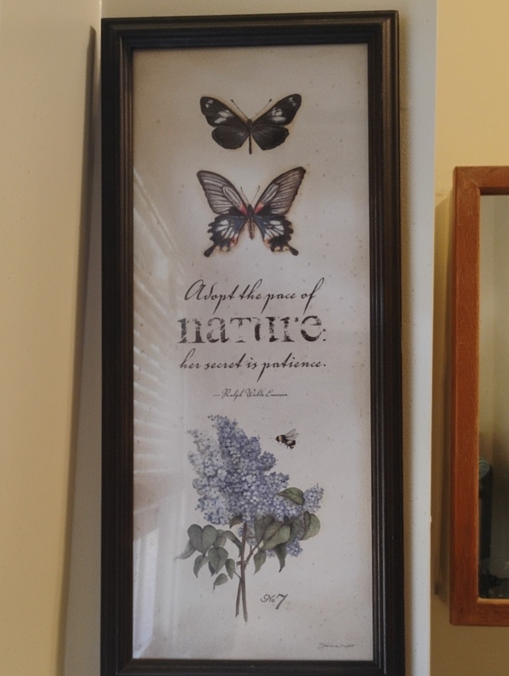 Framed Nature Butterfly & Lilac Art Print in Black